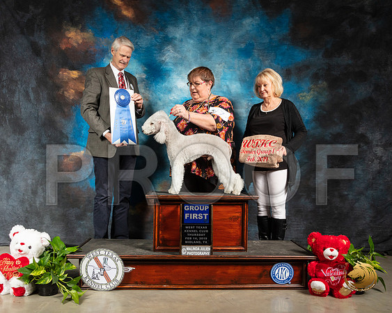 Bedlington Terrier #7 Thur G1 Judge Jon R Cole_SSR_1840-Midland19-HR3