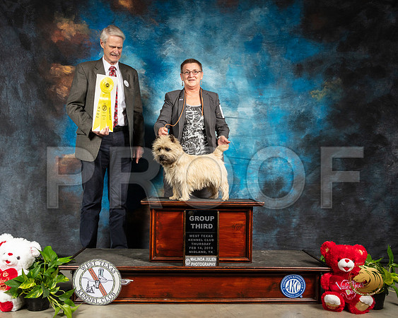 Cairn Terrier #10 G3 Thur Judge Jon R Cole_SSR_1843-Midland19-HR3