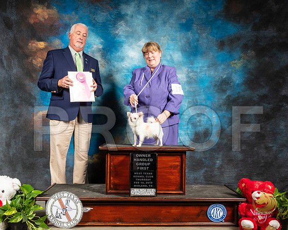 Chihuahua #17 Thur OHG1 Judge Dr Steve Keating_SSR_1866-Midland19-HR3