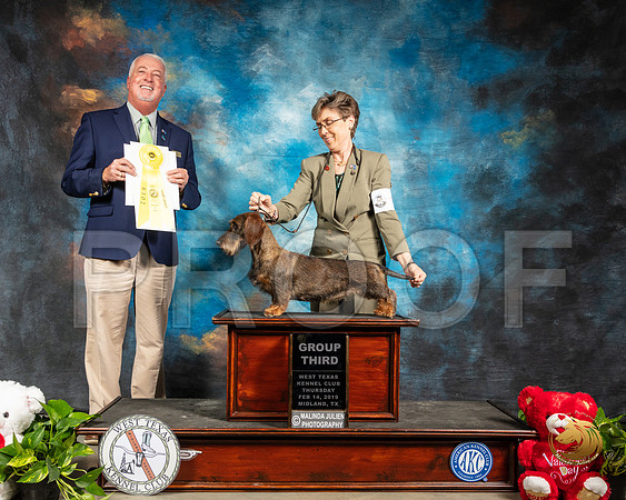 Dachshund Wire #6 Thur G3 Judge Dr Steve Keating_SSR_1857-Midland19-HR3