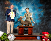 Dachshund Wire #6 Thur G3 Judge Dr Steve Keating