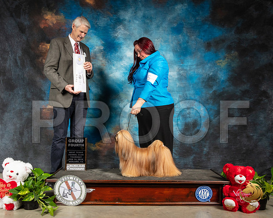 Lhasa Apso #5 Thur G4 Judge Jon R Cole_SSR_1881-Midland19-HR3