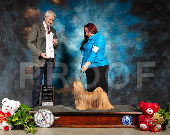 Lhasa Apso #5 Thur G4 Judge Jon R Cole_SSR_1882-Midland19-HR3