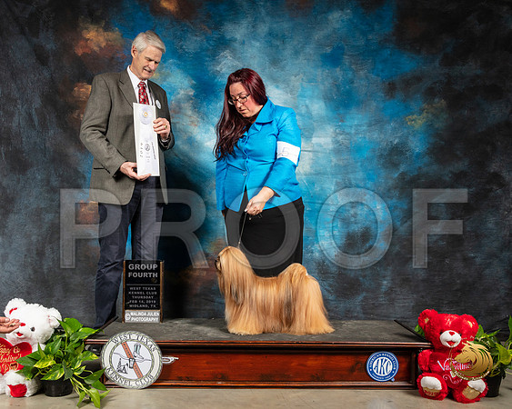 Lhasa Apso #5 Thur G4 Judge Jon R Cole_SSR_1884-Midland19-HR3