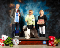 Tibetan Terrier #6 Thur G1 Judge Jon R Cole