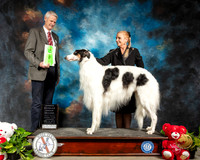 Borzoi #9 Thur OHG2 Judge Jon R Cole