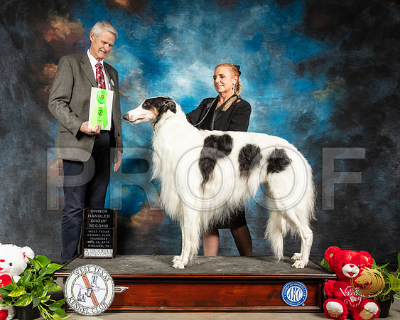 Borzoi #9 Thur OHG2 Judge Jon R Cole_SSR_1943-Midland19-HR3