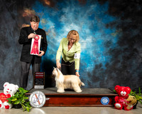 Chinese Crested #6 Thur G2 Judge Charles Olvis