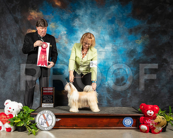 Chinese Crested #6 Thur G2 Judge Charles Olvis_SSR_1895-Midland19-HR3