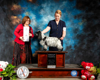 English Cocker Spaniel #6 Thur G4 Judge Elizabeth Muthard