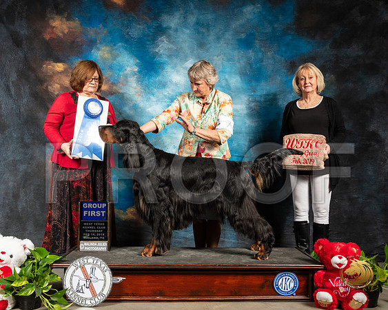 Gordon Setter #7 Thur G1 Judge Elizabeth Muthard_SSR_1908-Midland19-HR3