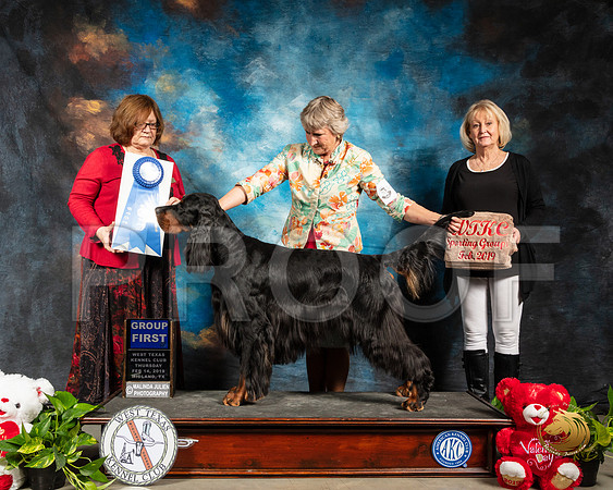Gordon Setter #7 Thur G1 Judge Elizabeth Muthard_SSR_1909-Midland19-HR3