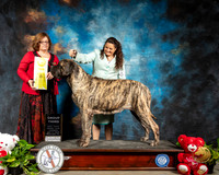 Mastiff #10 Thur G3 Judge Elizabeth Muthard