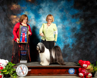 Tibetan Terrier #5 RBIS Thur Judge Elizabeth Muthard