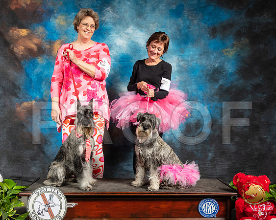 Schnauzers Valentines Kim Pat_SSR_1965-Midland19-HR3