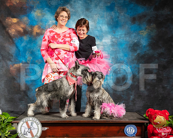 Schnauzers Valentines Kim Pat_SSR_1969-Midland19-HR3