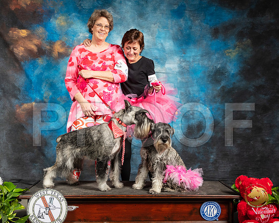 Schnauzers Valentines Kim Pat_SSR_1970-Midland19-HR3