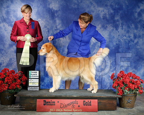 SweepsVet-6396-WFOct2013-HR