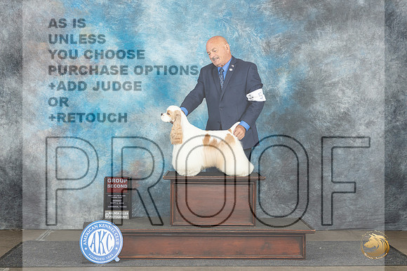 Cocker Spaniel Parti #5 Mon G2 Judge Debra Thornton__JP_4521_Lubbock_2024_HR3