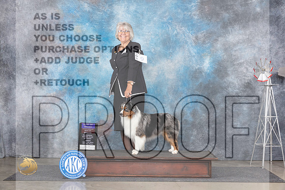 Miniature American Shepherd #9 Fri BOB Judge Jon Cole__JP_5376_Amarillo_2024_HR3