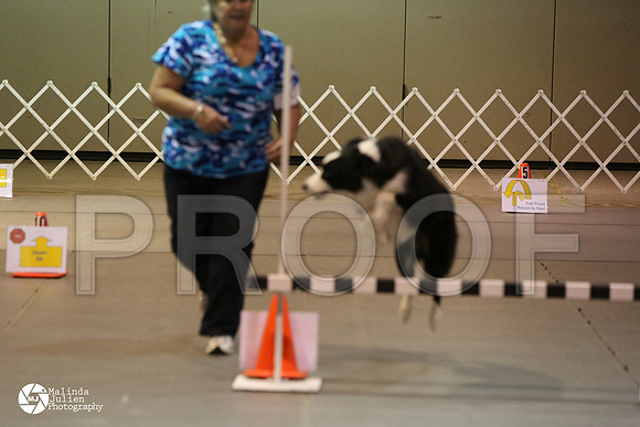 MJ2_0525-MsqtApr14-HR3