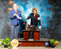 Dachshund Long #11 Fri BOW Judge Dr Steve Keating