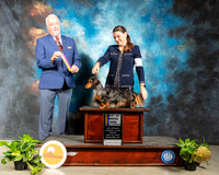Dachshund Long #21 Fri BOB Judge Dr Steve Keating