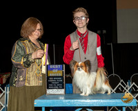 Papillon #5 Fri BOB Judge Elizabeth Muthard