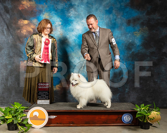 American Eskimo #5 Fri G2 Judge Elizabeth Muthard_SSR_2125-Midland19-HR3