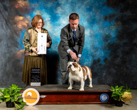 Bulldog #5 Fri G4 Judge Elizabeth Muthard