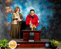 Chihuahua Long #18 Fri BOB Maj Judge Elizabeth Muthard