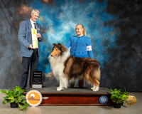 Collie Rough #5 Fri G3 Judge Jon R Cole