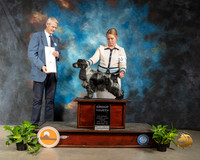 English Cocker Spaniel #5 G4 Judge Jon R Cole
