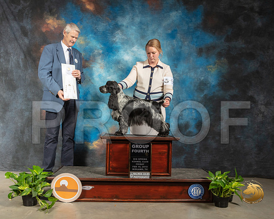 English Cocker Spaniel #5 G4 Judge Jon R Cole_SSR_2082-Midland19-HR3
