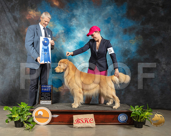 Golden Retriever #11 Fri G1 Judge Jon R Cole_SSR_2068-Midland19-HR3