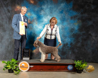 Lagotto #6 Fri G4 Judge Jon R Cole