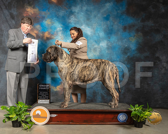 Masiff #10 Fri G4 Judge Charles Olvis_SSR_2041-Midland19-HR3