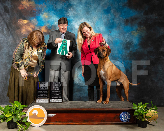Rhodesian Ridgeback #19 Fri BOB OHG1 JudgeJudge Elizabeth Muthard Judge Charles Olvis_SSR_2148-Midland19-HR3