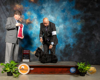 Scottish Terrier #6 Fri G2 Judge Charles Olvis