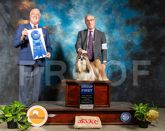 Shih Tzu #9 Fri G1 Judge Dr Steve Keating_SSR_2106-Midland19-HR3