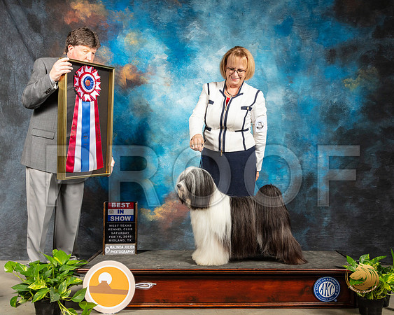 Tibetan Terrier #5 Fri BIS Judge Charles Olvis_SSR_2170-Midland19-HR3