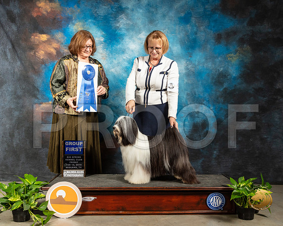Tibetan Terrier #5 Fri G1 Judge Elizabeth Muthard _SSR_2119-Midland19-HR3