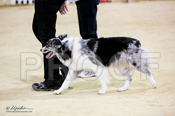 _JN_7735-ASCACollegeStationNov2014-HR3