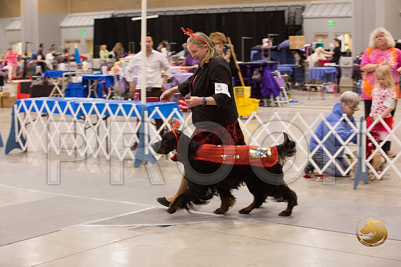 Valentines Costume Contest Ring_JJJ_4111-Midland19-HR3