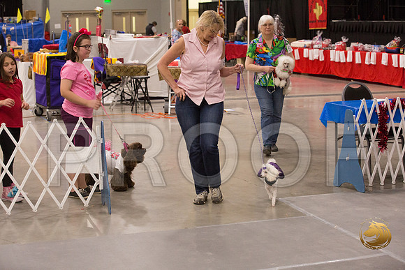 Valentines Costume Contest Ring_JJJ_4151-Midland19-HR3