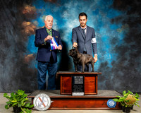 French Bulldog #23 Sat BOW Maj Judge Dr Steve Keating