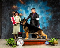 German Shepherd Dog #9 Sat G2 Judge Linda Clark