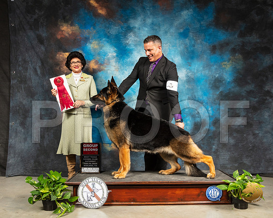 German Shepherd Dog #9 Sat G2 Judge Linda Clark_SSR_2312-Midland19-HR3