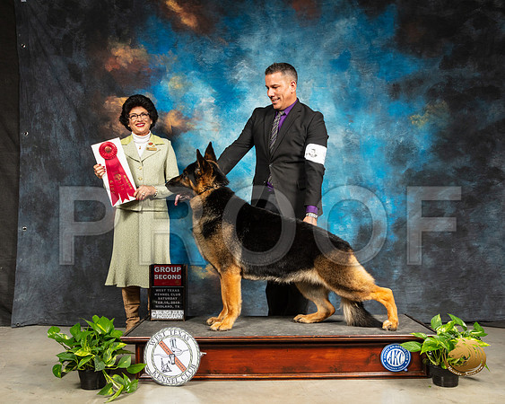 German Shepherd Dog #9 Sat G2 Judge Linda Clark_SSR_2313-Midland19-HR3
