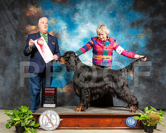 Gordon Setter #7 Sat G2 Judge Dr Steve Keating_SSR_2281-Midland19-HR3